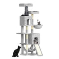 CATSY® Cozy Haven