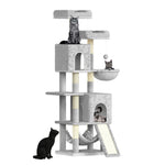 CATSY® Cozy Haven