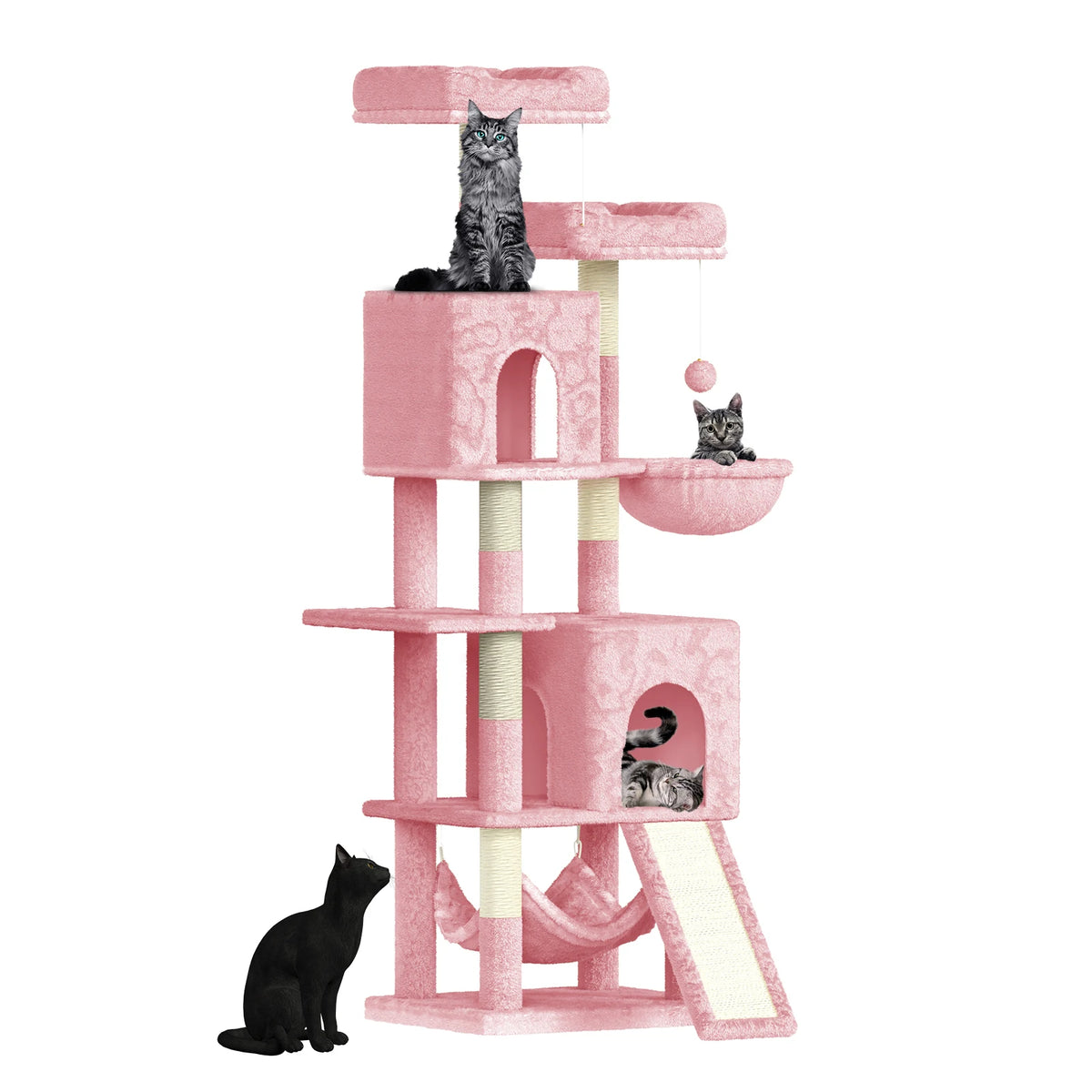 CATSY® Cozy Haven