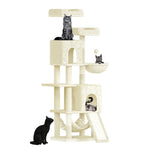 CATSY® Cozy Haven